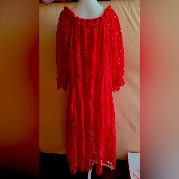 Delfi Collective embroidered off shoulder midi dress - Picture 2 of 5